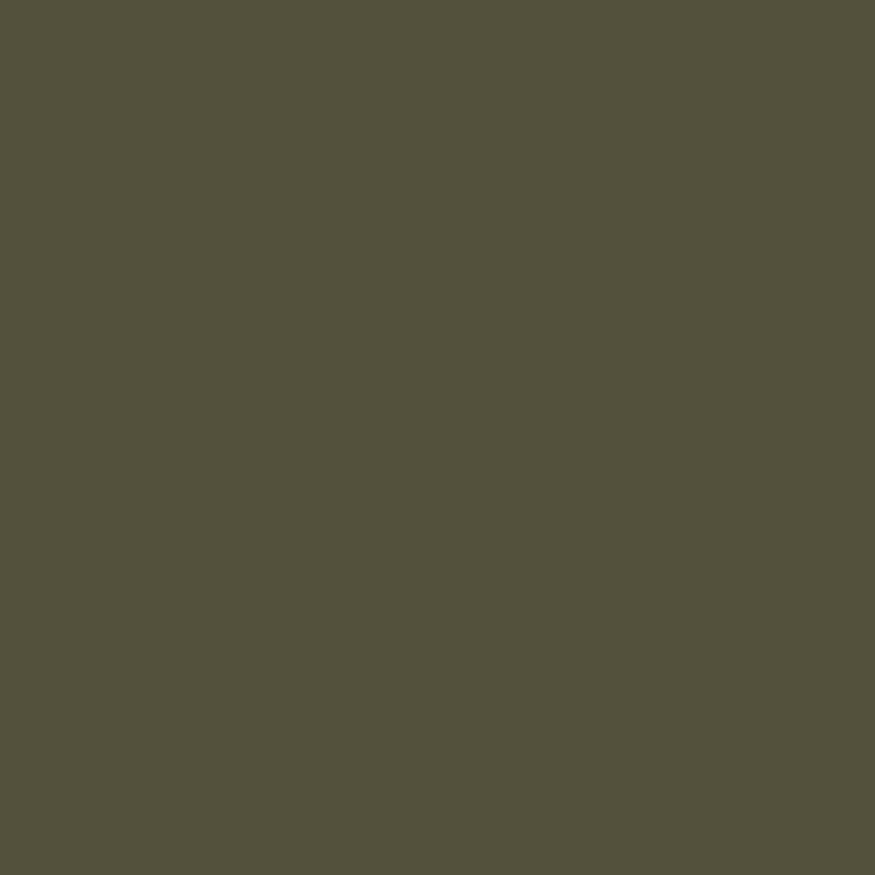 Earthy Essence Cotton Fitted Bed Sheet Set (Olive Green)